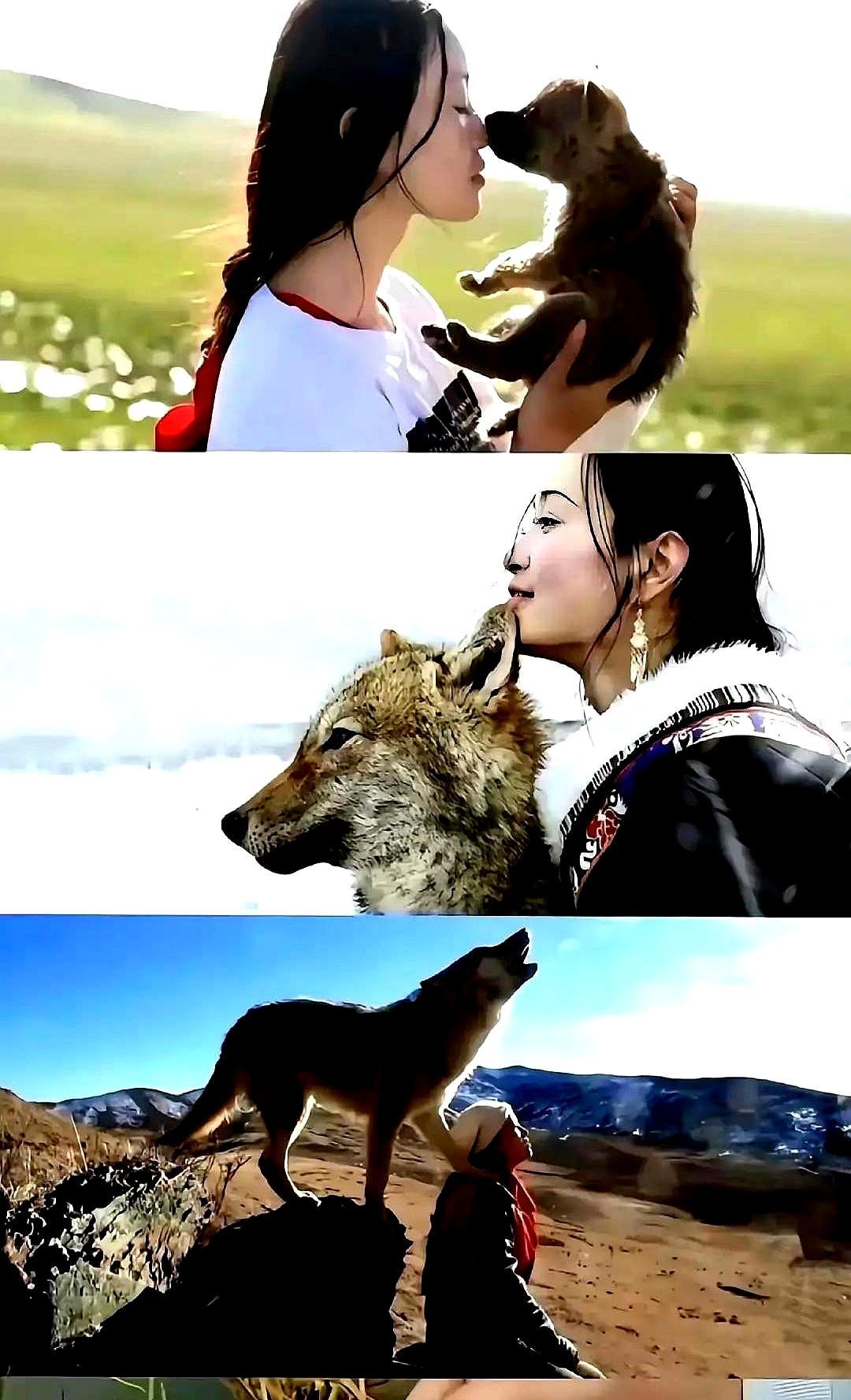 她用半辈子换来的结局，正在被一群网红毁掉。你可能也刷到了，那个叫格林的狼，