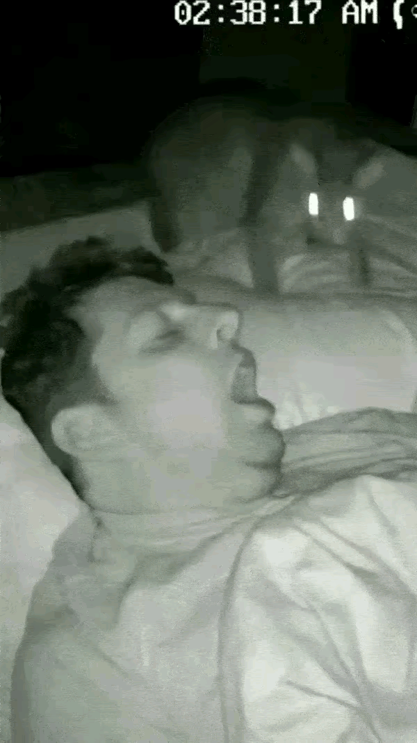 “笑不活了！”哥们儿中午往床上一瘫，睡得那叫一个香，嘴巴还下意识张着打呼，跟个等