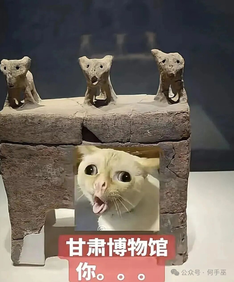 这波属实是古人超前预判了