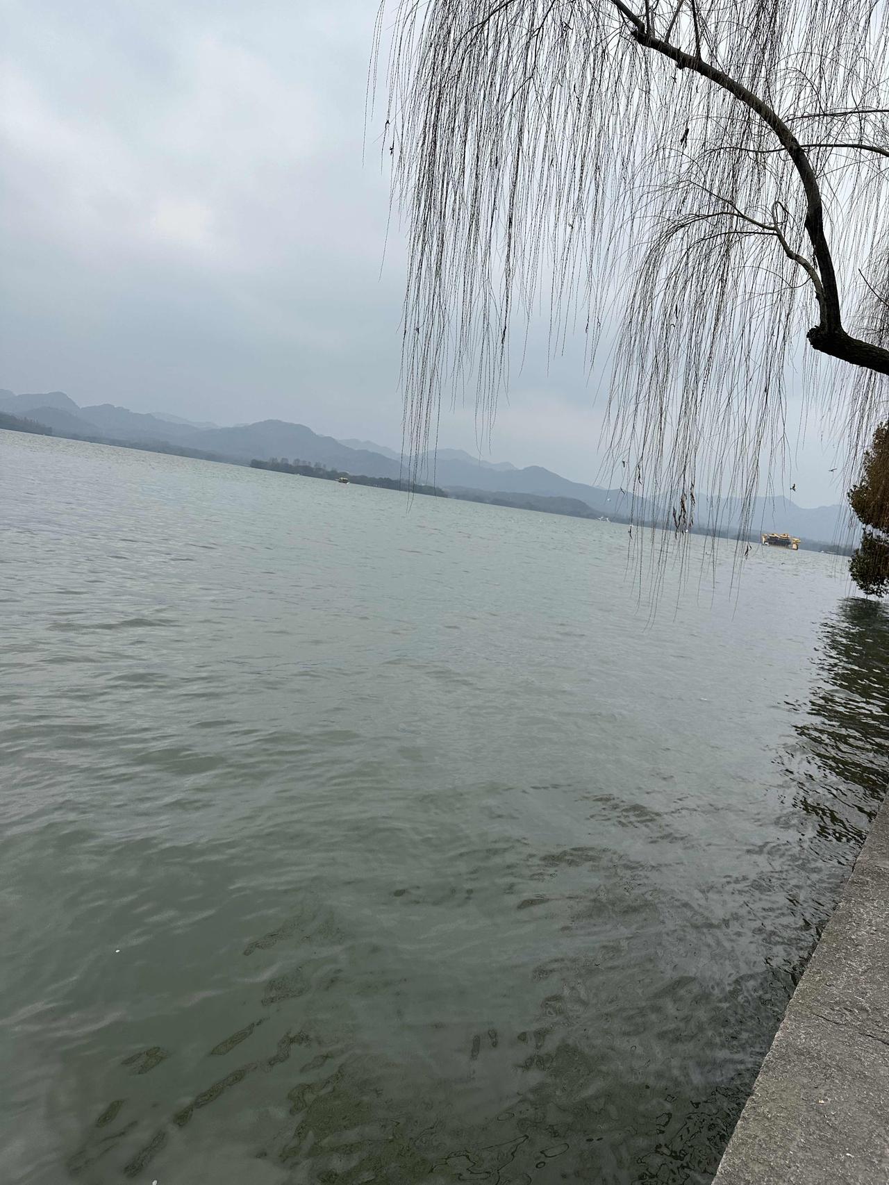 养生最大的真相，就一个字：少。但更狠的说法是——别再往命里塞东西了，你得学会