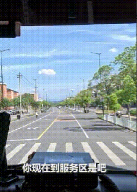 一车“二师兄”登上了人民日报！江西上饶，一辆运猪车在高温下行驶，车上60头生猪集