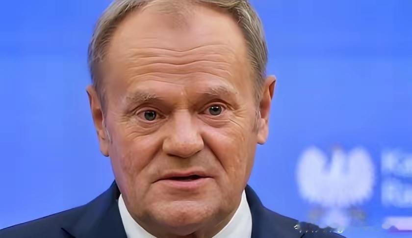 波兰总理图斯克最近接受采访，聊俄乌局势的发言还挺有意思。他说泽连斯基跟他透露，乌