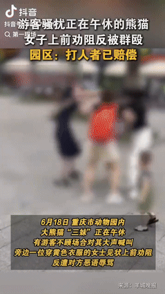“丢人丢大发了！”重庆一游客在动物园内，对正在午休的大熊猫大喊大叫，遭到旁边女子