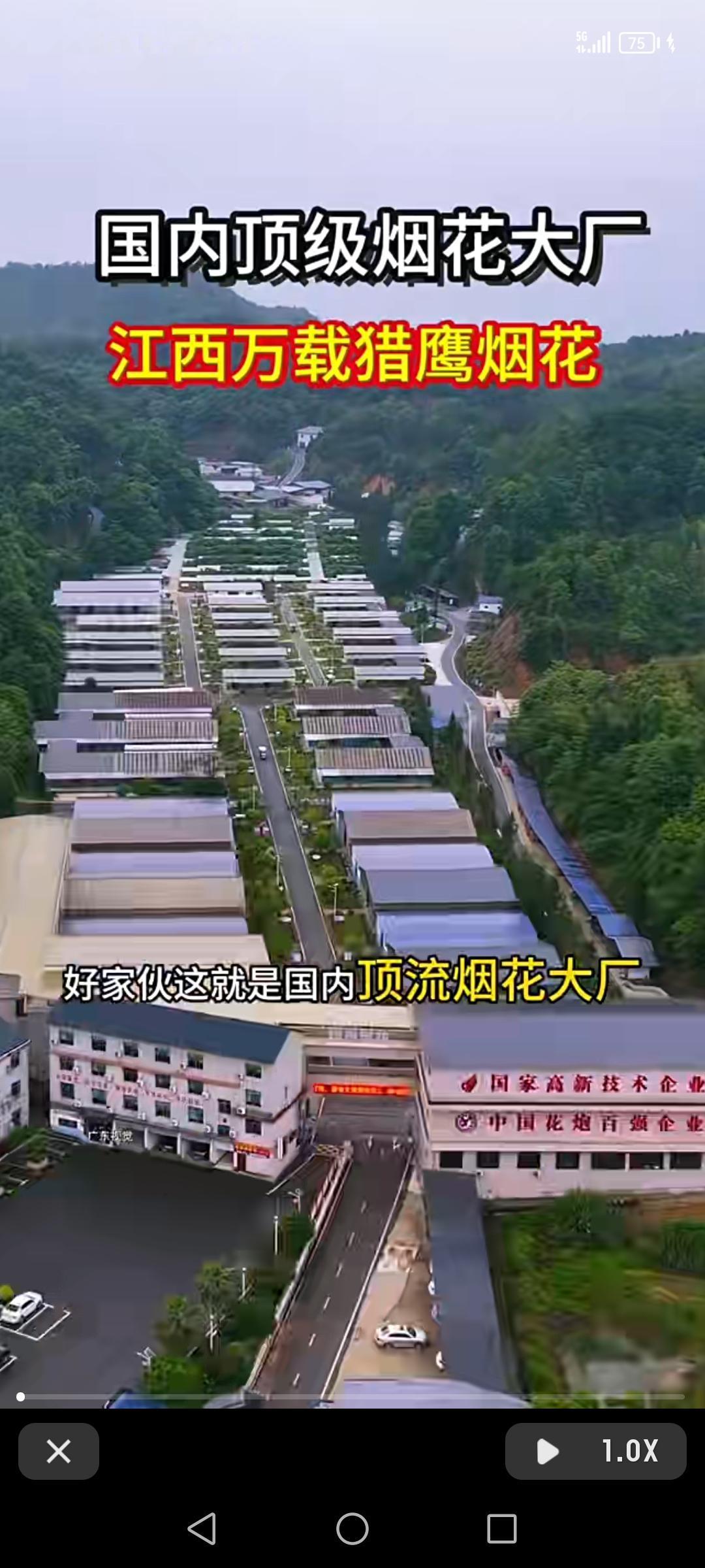 猎鹰集团，真不愧是花炮龙头，撑起中国烟花半壁江山一点不夸张。它由江西省猎鹰烟花制