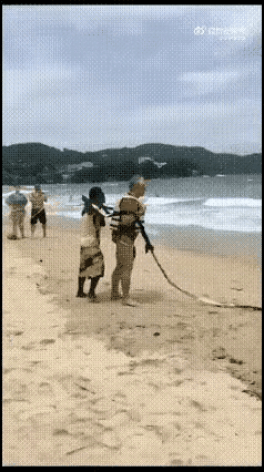 这画面真是太惊险了👏