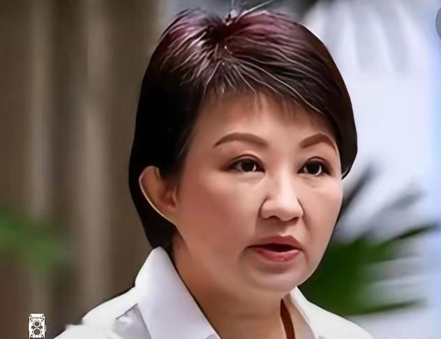 民调不及杨琼樱，江启臣急了：这场台中选战，暴露的何止是差距？谁能想到，一场