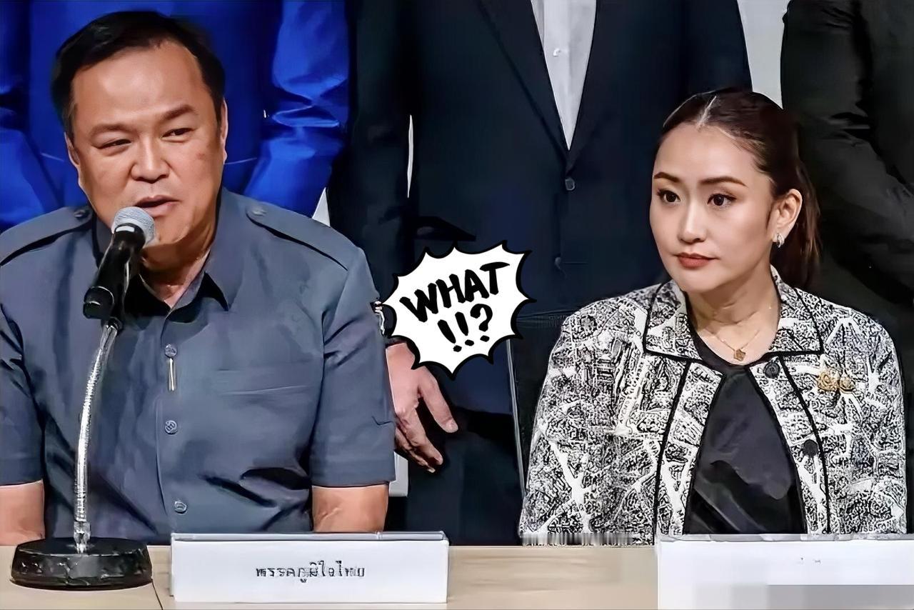 泰国国王批准解散国会，必须60天内重新投票选议员。这次选举可能还是为泰党和自豪党