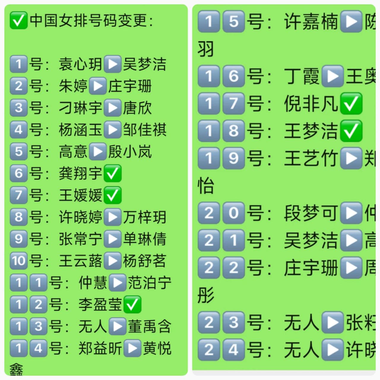 老队员回归国家队之路已经堵死了中国排协向国际排联提交了一份24人