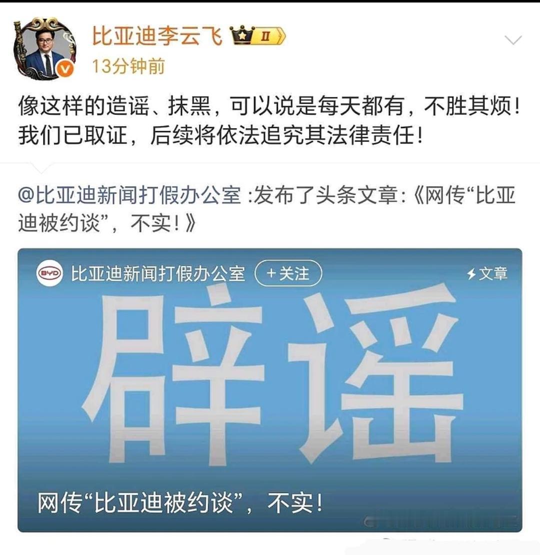 李云飞最近有点忙，因为迪子被黑的太多了，什么车子太重，什么闪充伤电池，什么OTA