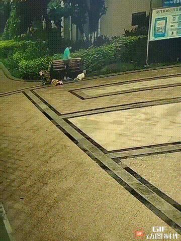 家长就是这么教育孩子的吗？8月30日，广西南宁一位老人带着孙儿在小区内玩耍，老人