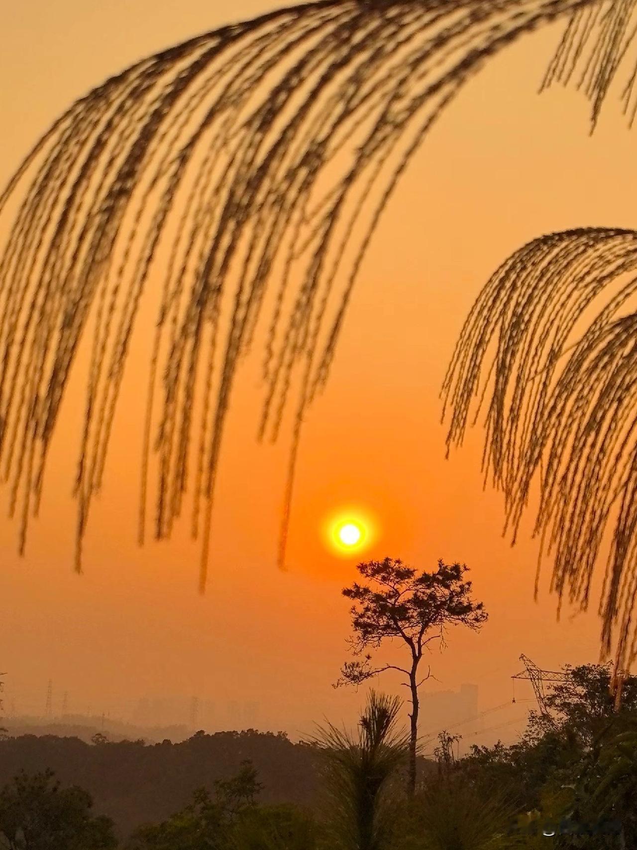 胡歌代言广告陷抄袭风波！撞脸法国广告品牌喊冤难平争议12月初，娱乐圈又爆