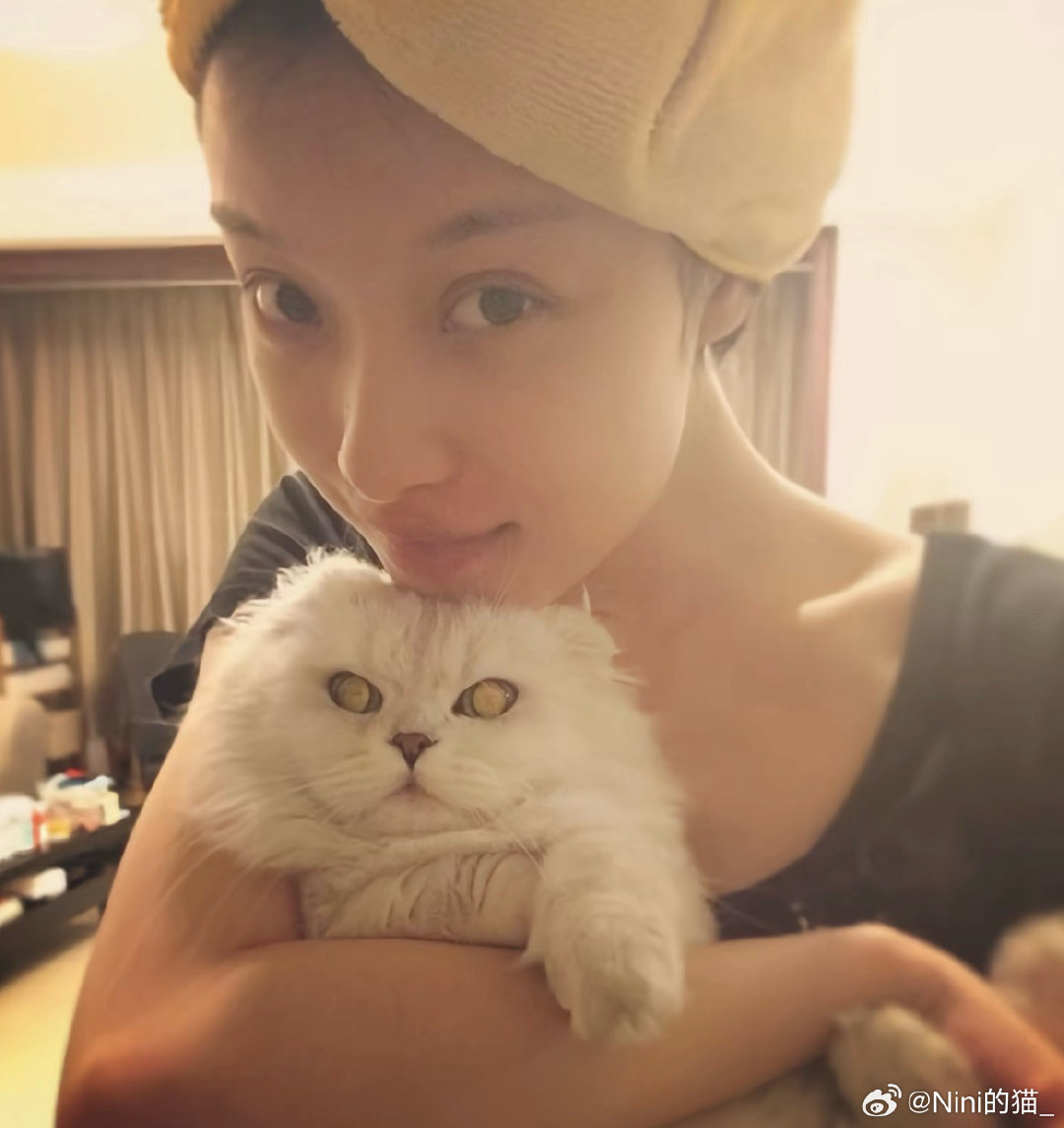 画的是这几张-ω-。#倪妮#​