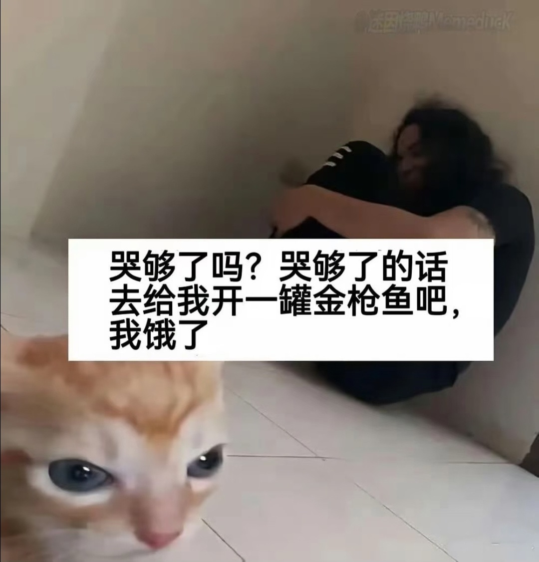 小动物meme图​​​