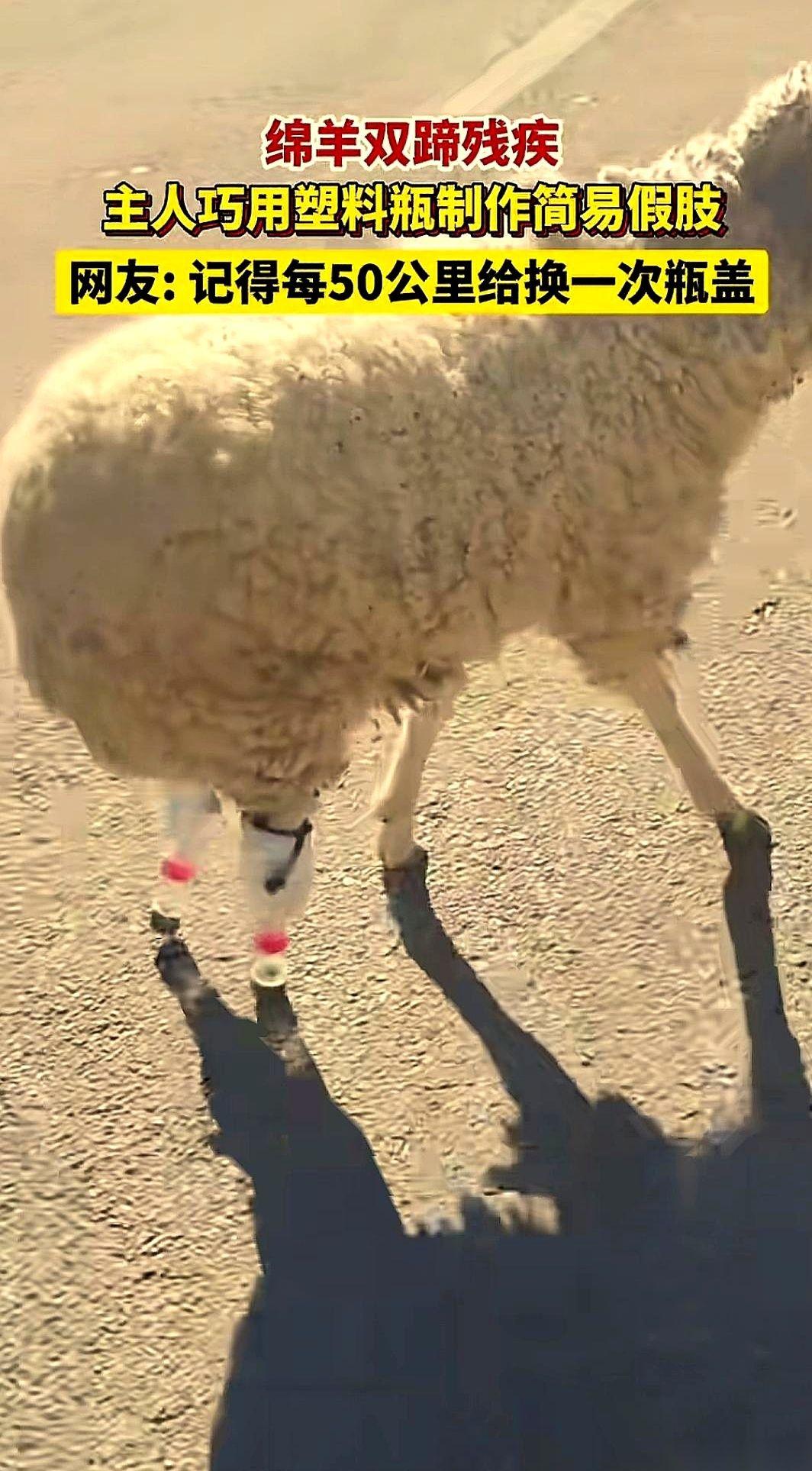 你敢信？两几毛钱的矿泉水瓶子，硬是把一条命从阎王爷手里抢回来了。在藏北，风那是