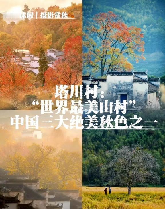 塔川徒步👣｜一眼就沦陷的红叶天花板🍁为自然举旗，跟【赴山海】每周去野！?