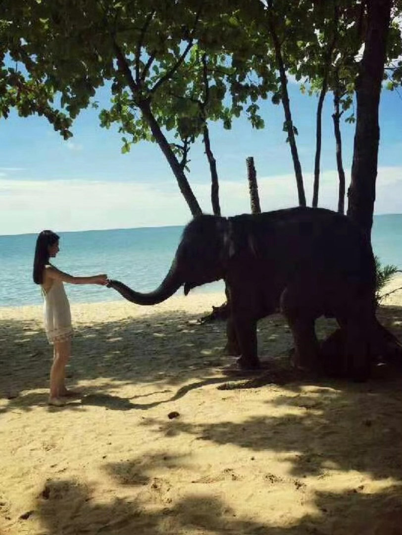 刘亦菲和大象🐘
