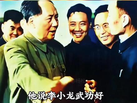 用实力征服西方国家的两个华人