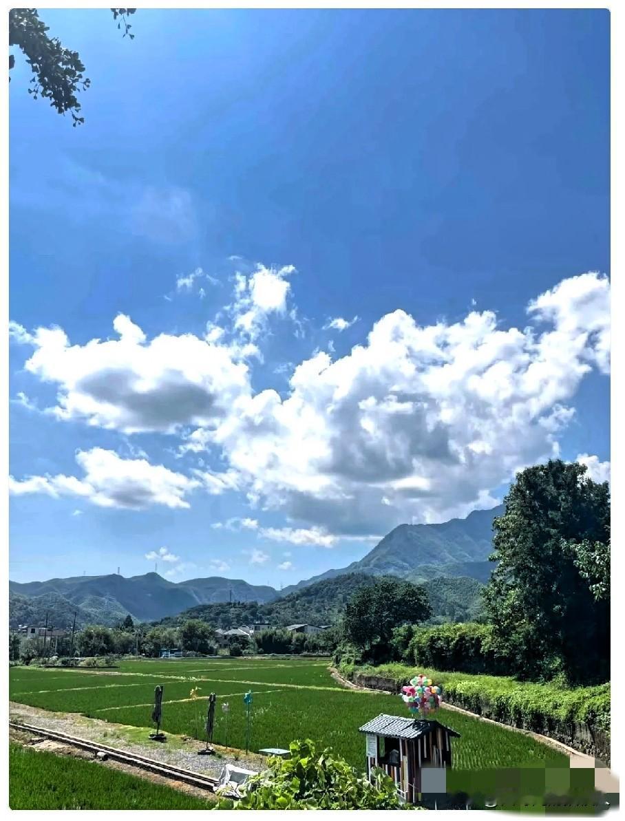 我儿子把我气的半死我儿子今年31岁，国企工作，年薪二十多万，中秋节给我领回来一