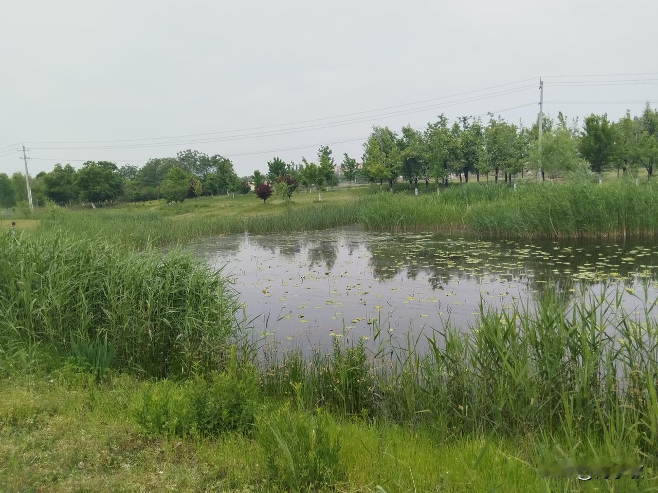 八百里水泊遗韵，尽在东平湖若要寻觅东平湖最动人的风光，环湖路一定