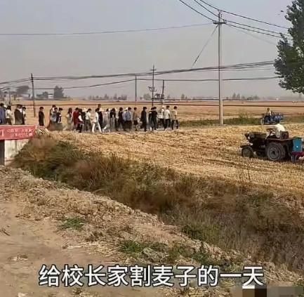 “太狠了！”河南，一位90后校长竟然凌晨五点就把128名学生喊起来，到自家麦田里