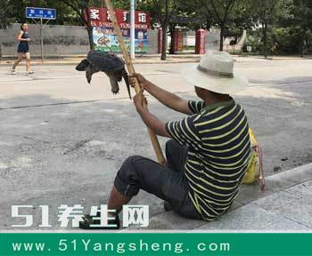 农村大叔街头用竹竿挂卖乌龟, 称“千年王八”要价两千元