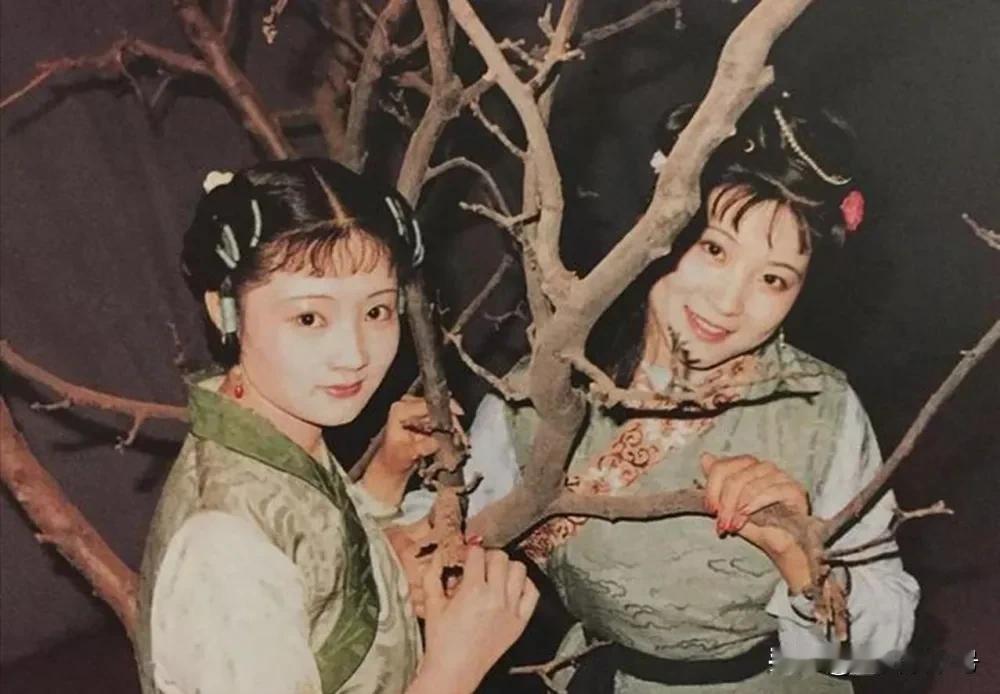 《红楼梦》里的彩云、彩霞，是一个人，还是两个人？一直存在争议。说是一个人，
