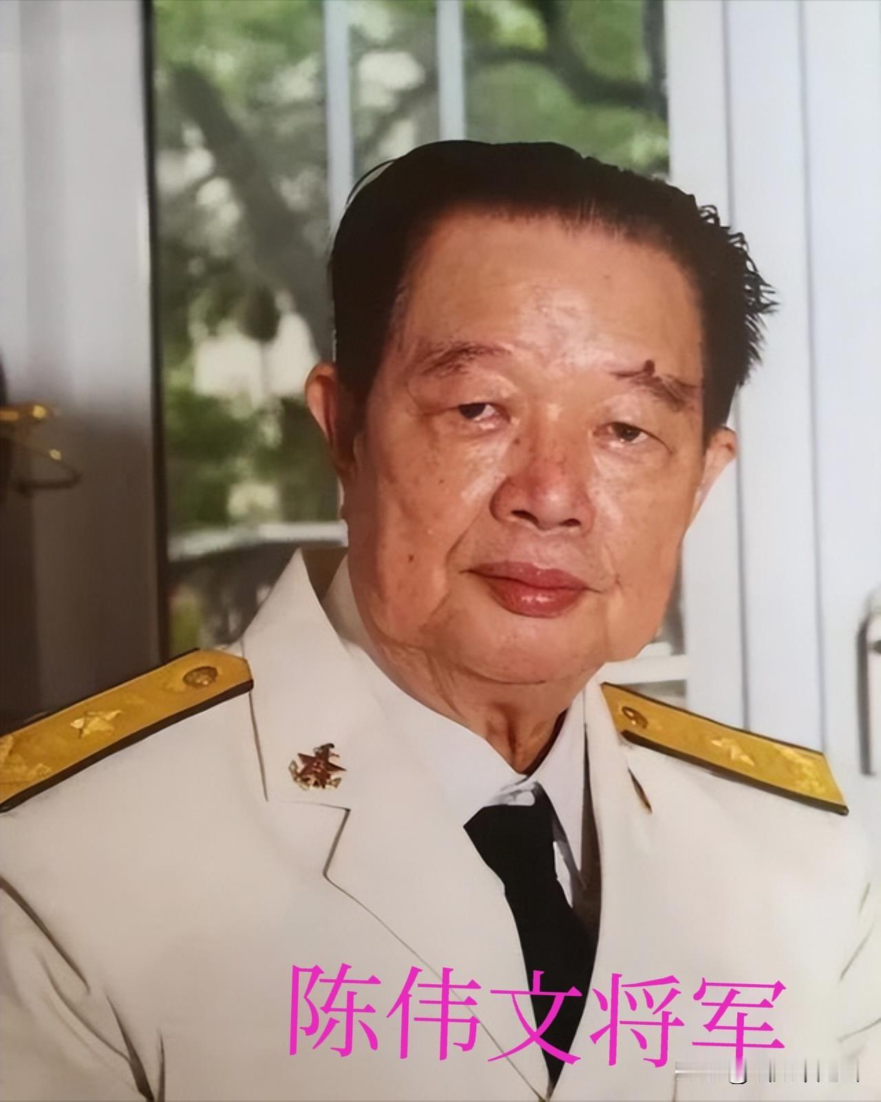 中国不开第一枪？！金一南教授说过：“如果不是1988年陈伟文将军果断亮剑，击沉越