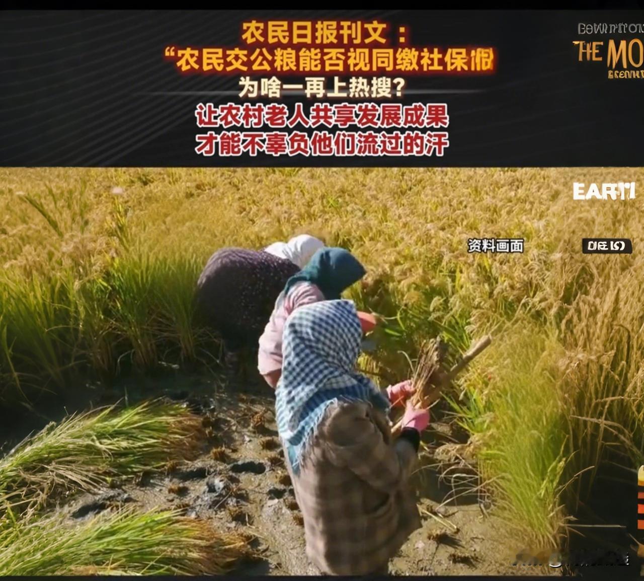 当年交公粮能不能算社保？农民日报发声了，答案比你想的更扎心！你有没有算过这样
