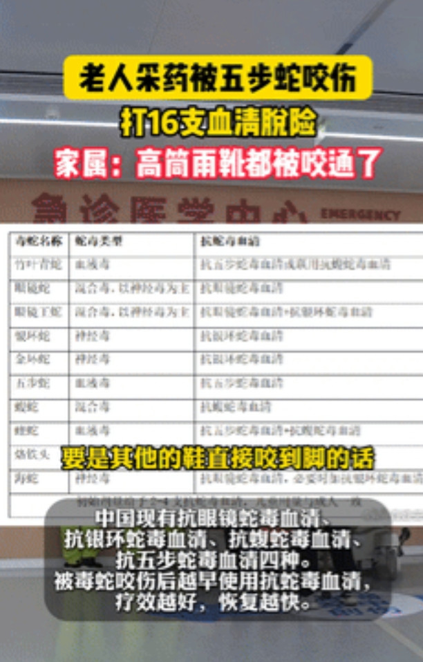 “防不胜防！”80岁老人上山采药，明明穿了高筒雨鞋，却被五步蛇咬穿！120冲到山