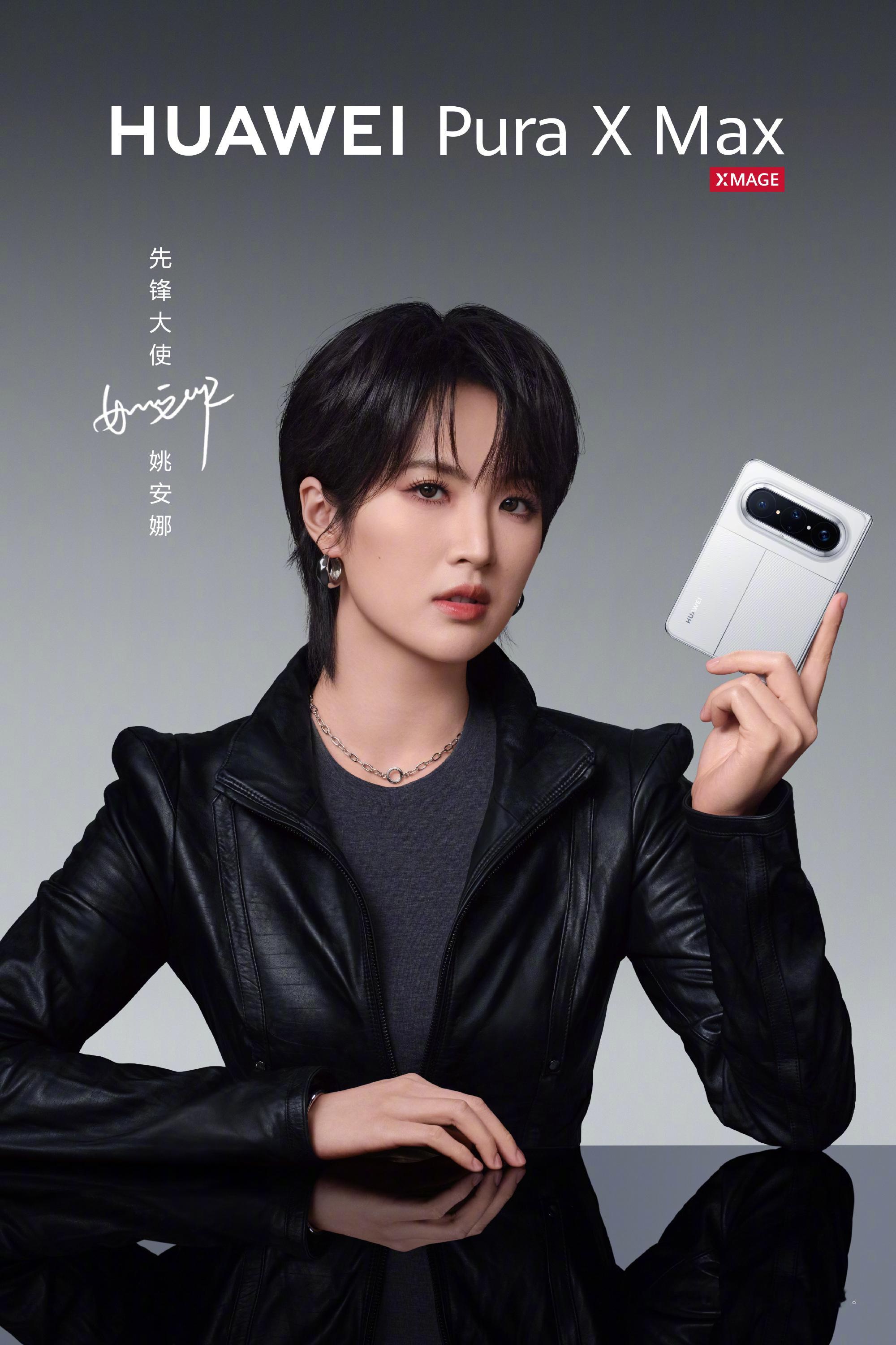 大家觉得PuraXMax定价多少起步