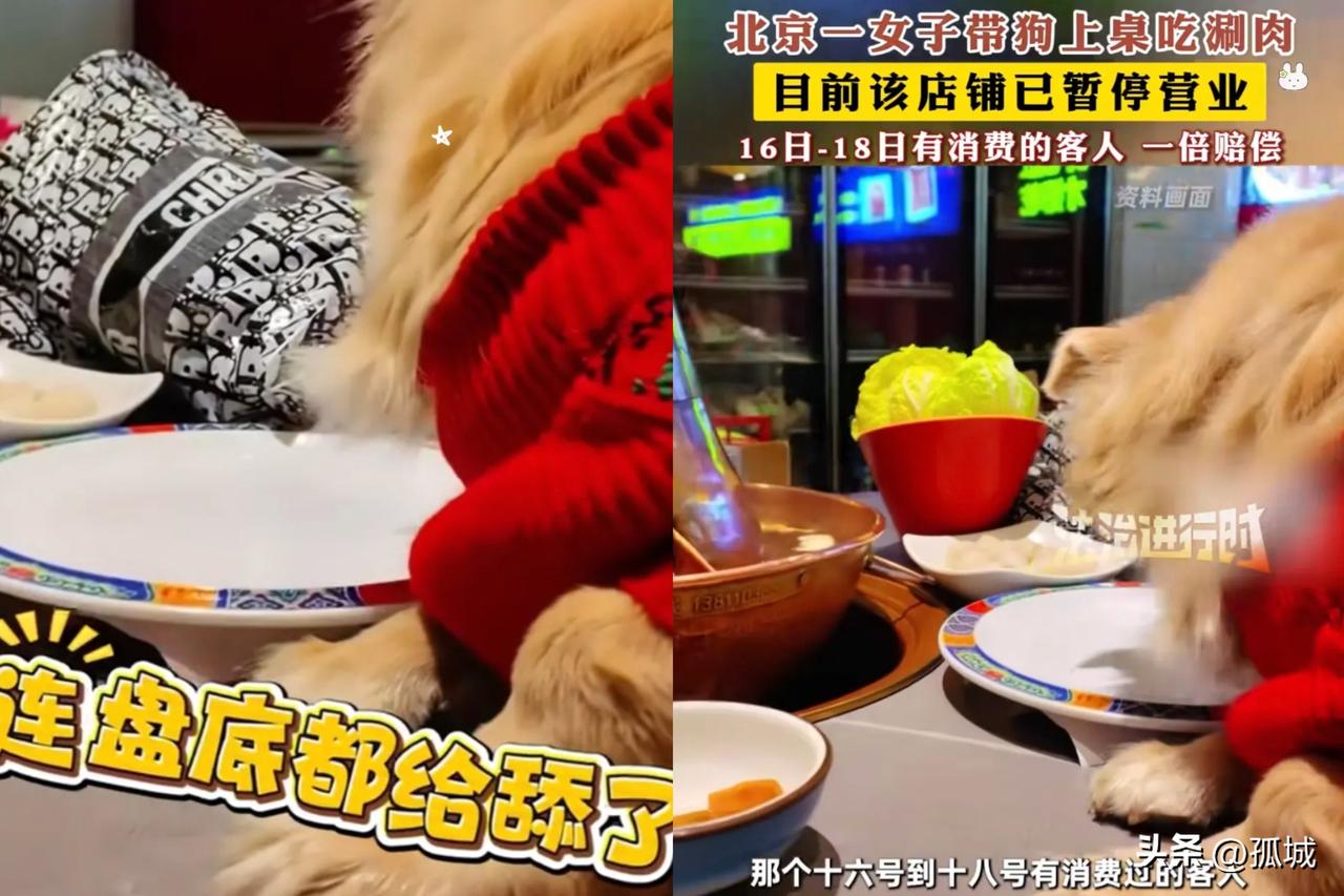 离谱！“狗姐”与狗共食坑惨饭店，无德操作引发众怒。😡[捂脸哭]这几