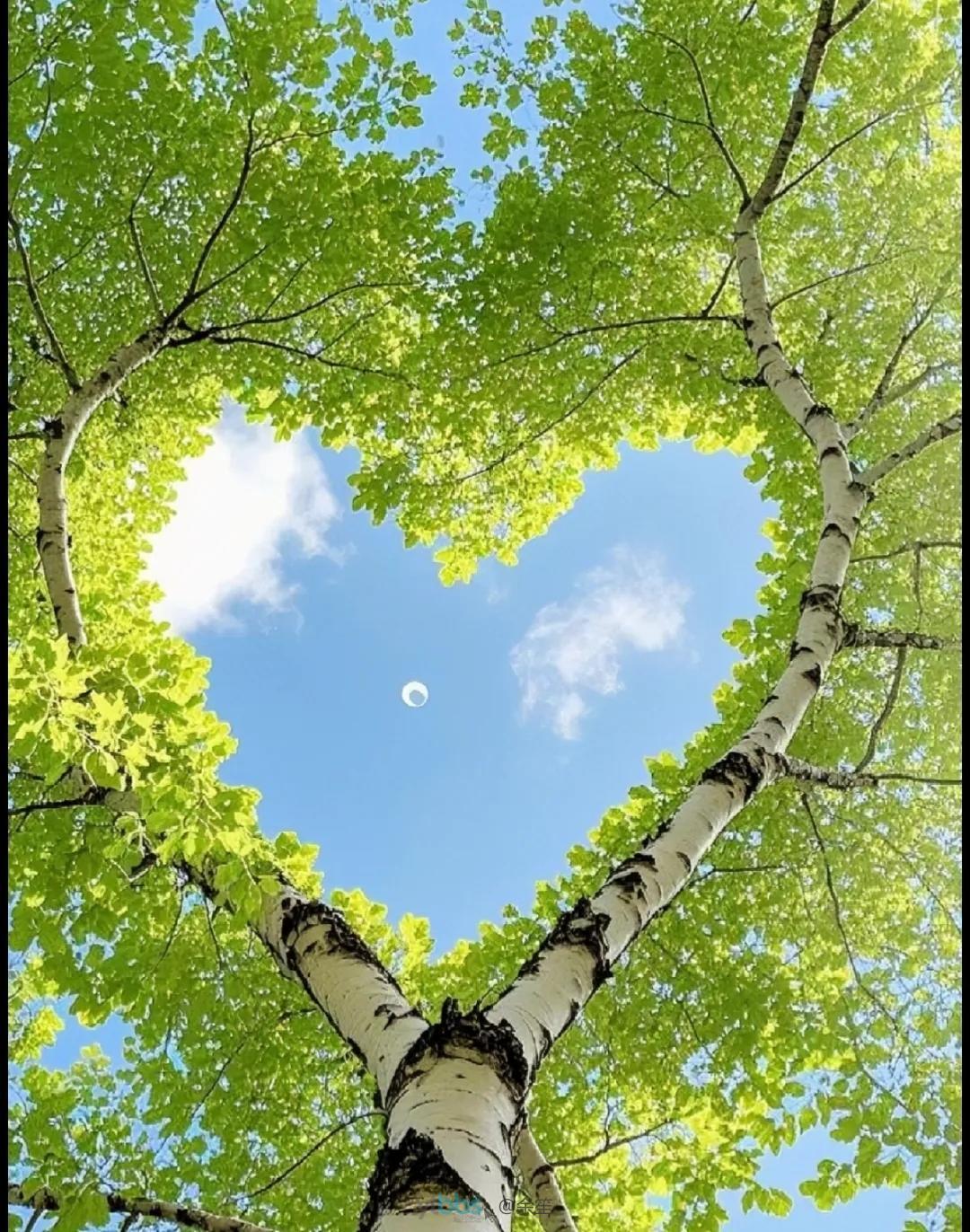 年底了，大家都在盼着拿钱回家过年，可偏偏有些黑心老板，连员工的辛苦钱都要拖！