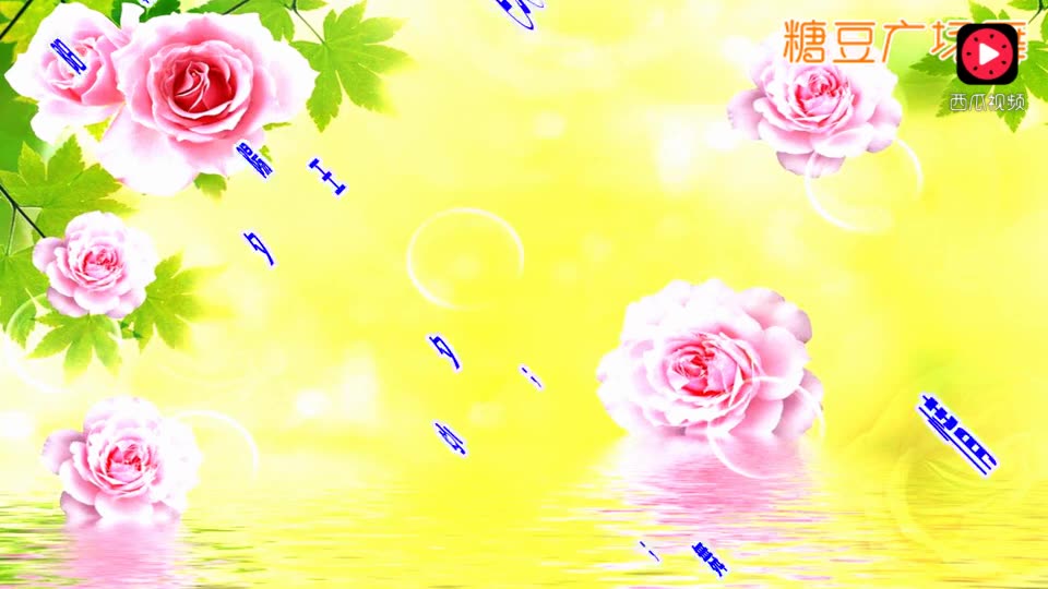 11632576323074182165.jpg?id=0