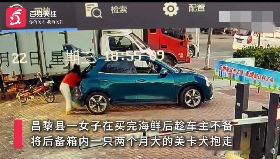 秦皇岛一女子买海鲜逃单还顺走万元美卡犬4月22日，河北秦皇岛昌黎县鹏湖小区附