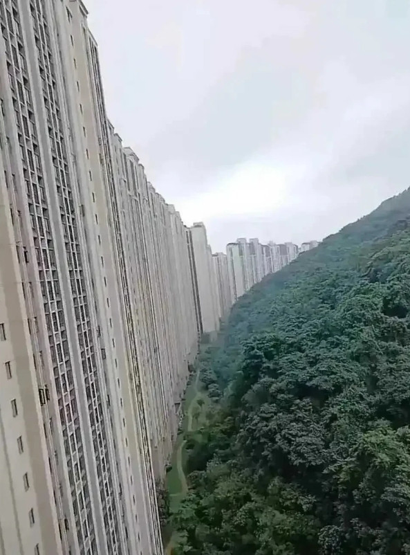 这就是大多数人梦寐以求的楼房