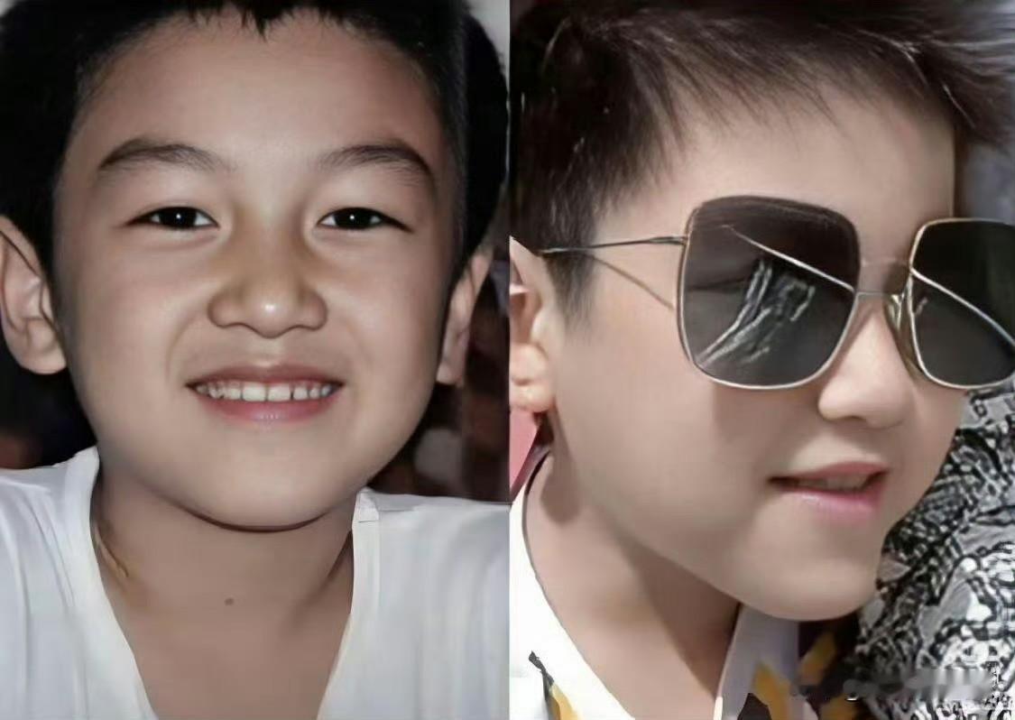 陈晓可能会再谈恋爱但可能不会再生孩子了因为小星星真的和他一摸一样，完全继承了