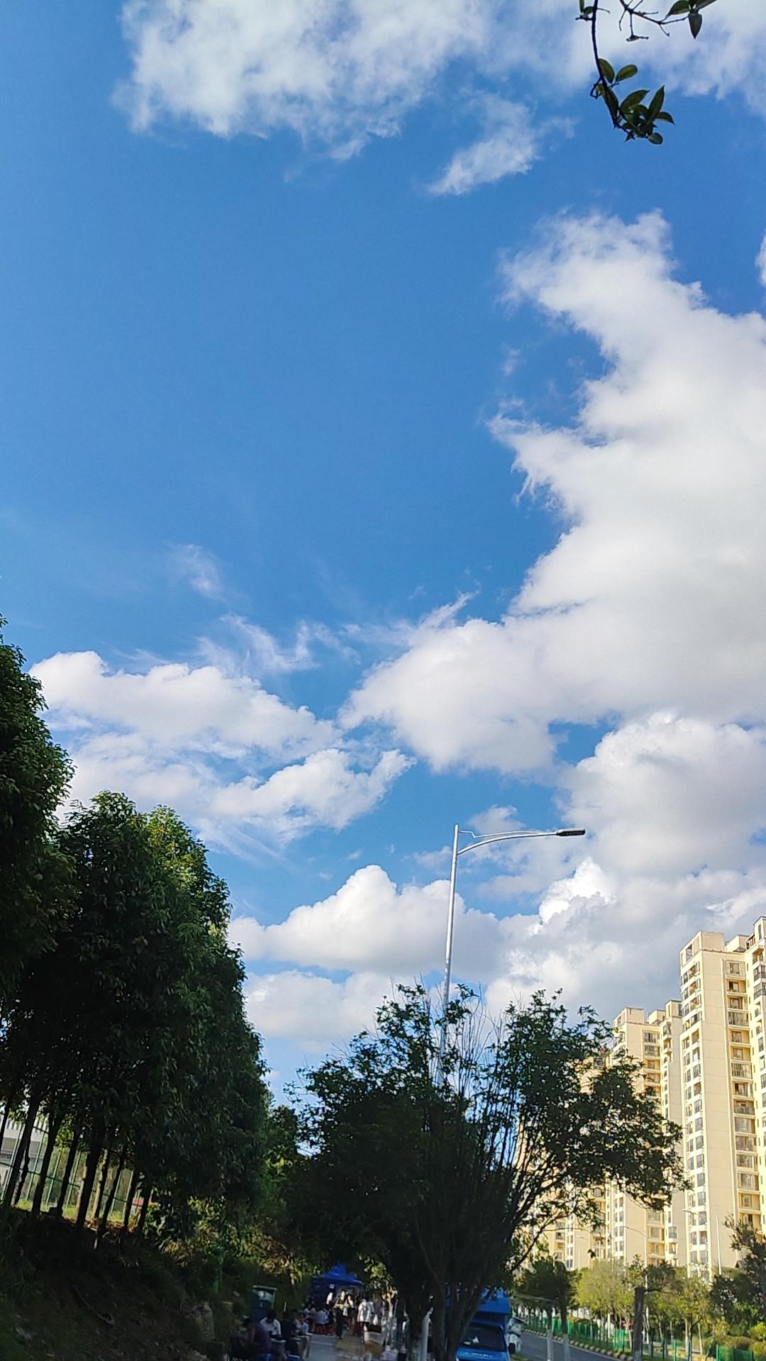 同样是股市，全球股市的交易规则都是T+0，只有A股是T+1，我们散户老老实实T+