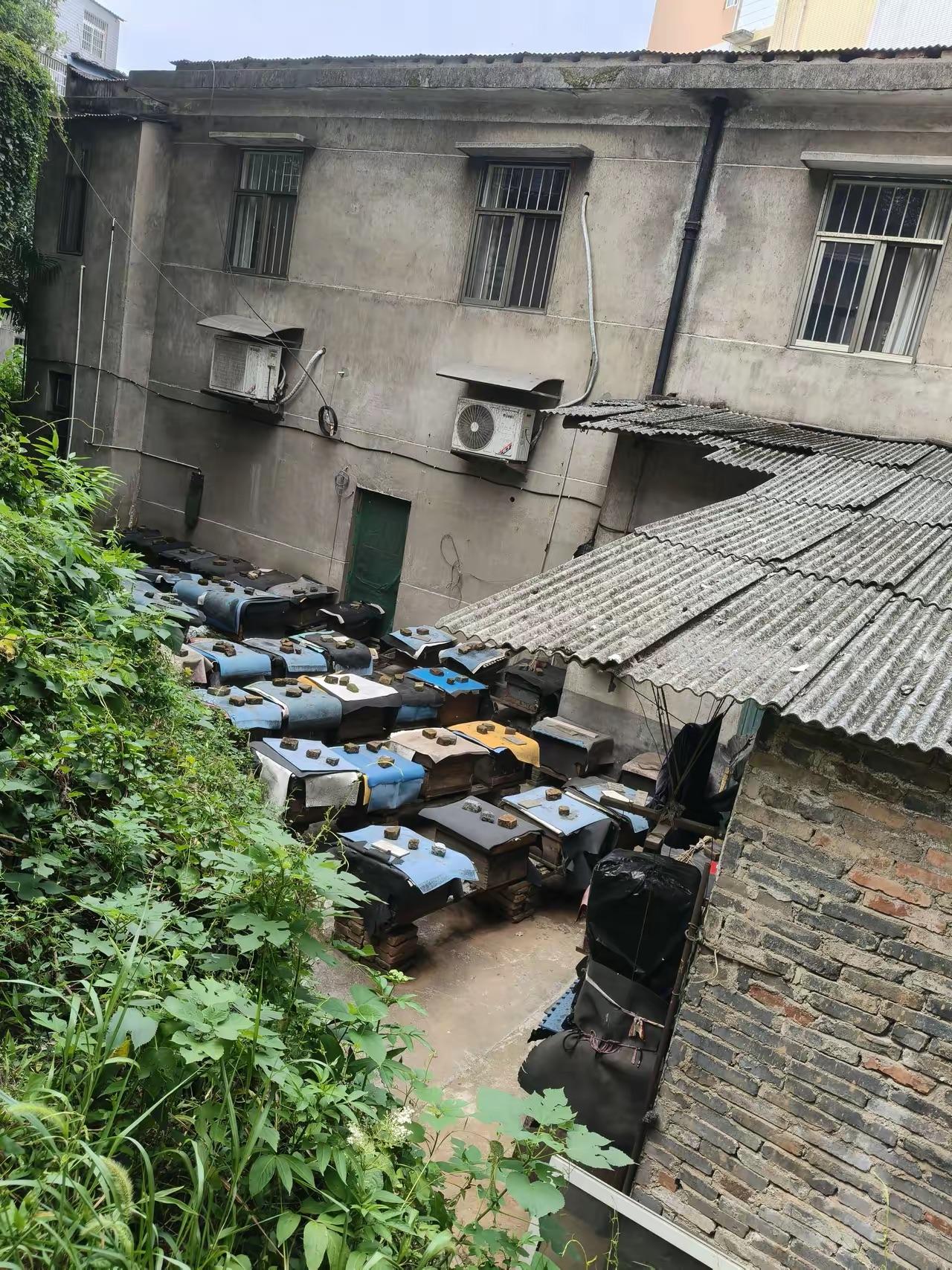 坐标云南省。小时候去红河州弥勒市，高速公路路过彝族聚集区，就是看到很多的木桶居然