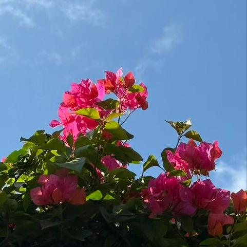 美中贸易全国委员会会长谭森在华盛顿这样说 当地时间12月3日，谭森在华盛顿这