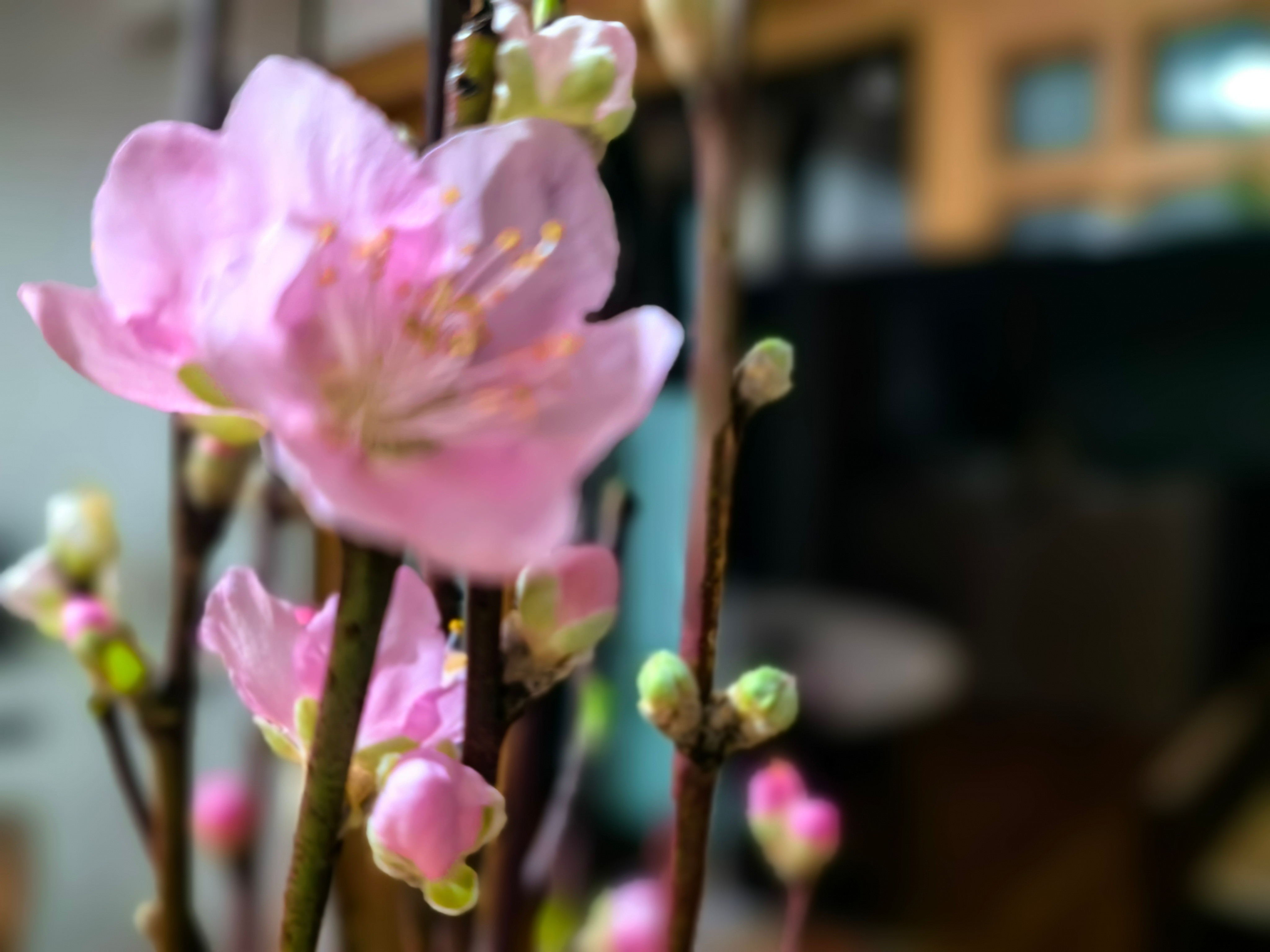 雌雄同体构建条件，让美好自己发生（一）如果说，少年得志是祖上庇佑，那么大器晚成就