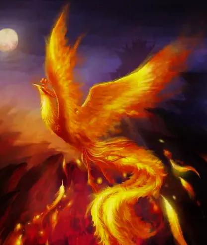 方圆天地，为头条联友对联∴龙腾四海祥云起，凤舞五洲紫气升。