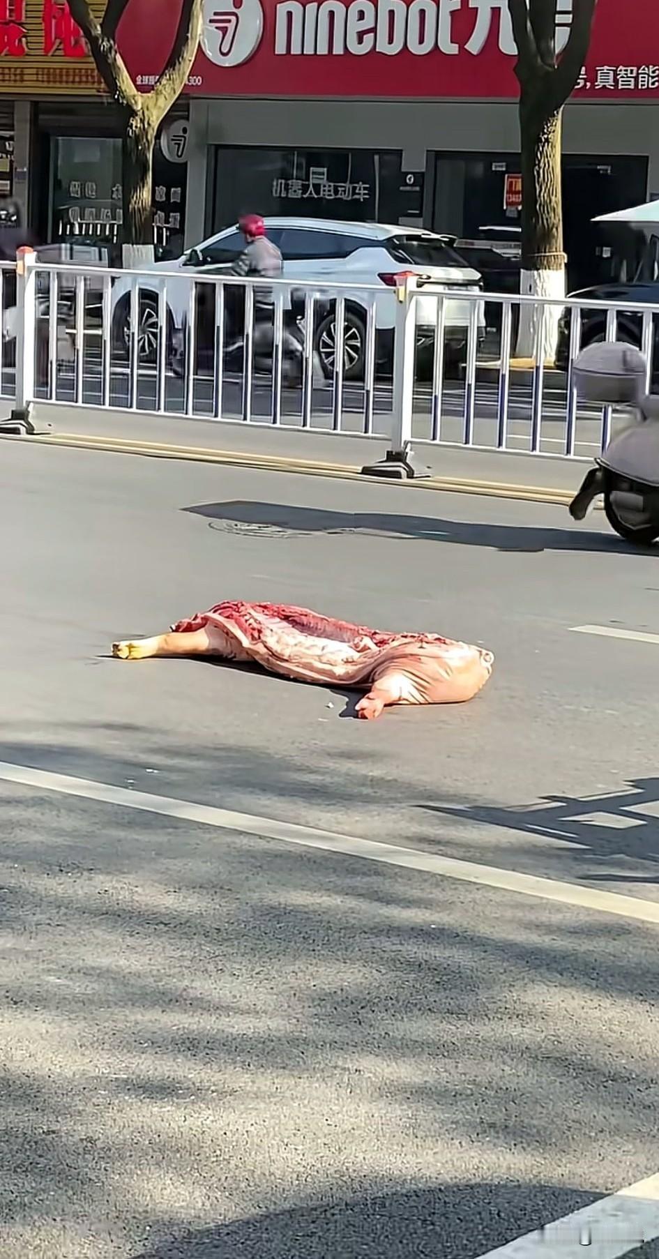 什么叫路不拾遗，这就是了。是什么原因，让大家对路中间的半扇猪肉，视而不见的？