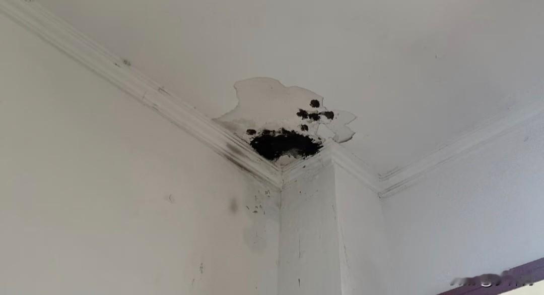 顶楼漏水，想要启动大修基金，我该不该同意签字？前几天我们这边下雨，顶楼的住户