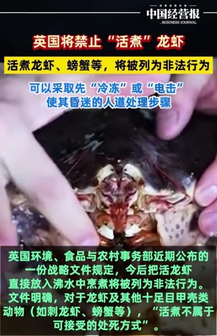都把它们吃进肚子里了，还在乎这些虾蟹被吃掉前疼不疼？这不是脱裤子放屁吗？有能耐吃