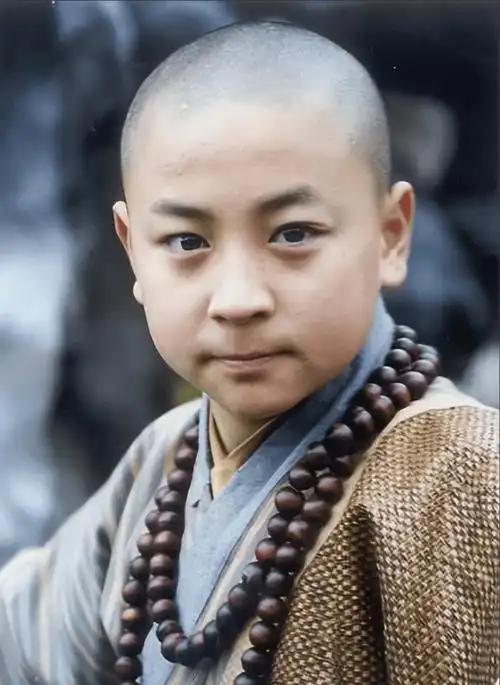 身家不菲亲爹吸血多年，现38岁无人问津的释小龙，到底做错了啥？ 2019年4