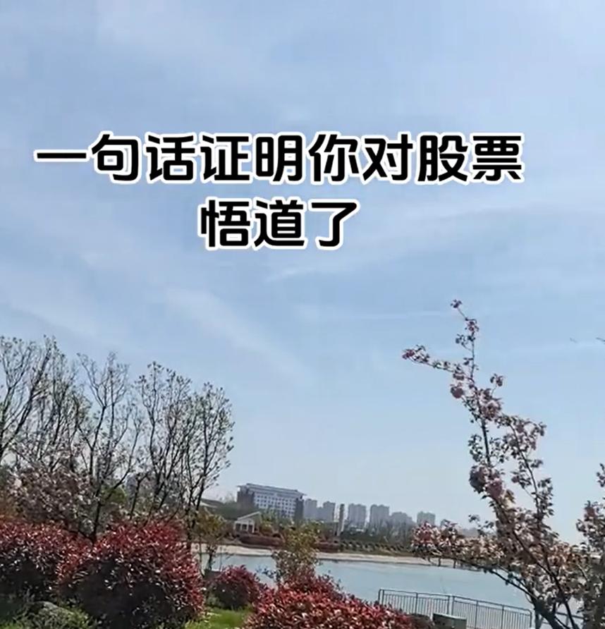 一句话证明你对股票已经悟道了