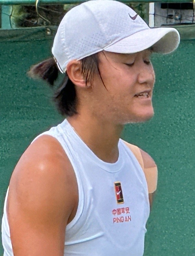 温网女单资格赛第二轮，王左4-6/2-6不敌No.231谢尔班，无缘决胜轮。前美