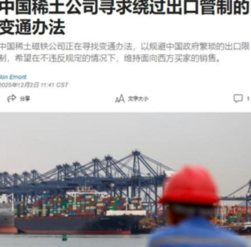 稀土之争：国家战略与企业私利的博弈