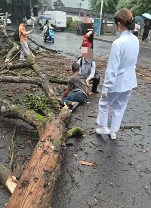 “到底谁该负责？”四川泸州，51岁的大哥去医院看风湿，车刚停稳，路边大树竟轰然倒