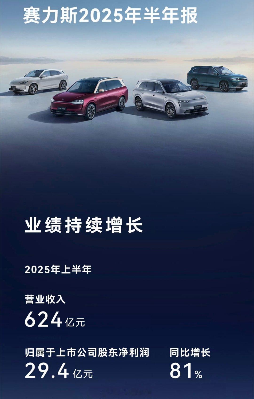 赛力斯上半年财报，营收下滑，净利润暴涨，毛利率继续提高，太强了。营收624亿，下